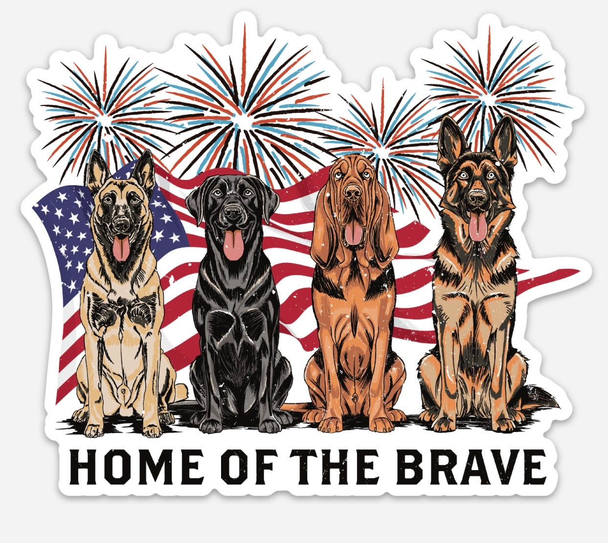 Home Of The Brave