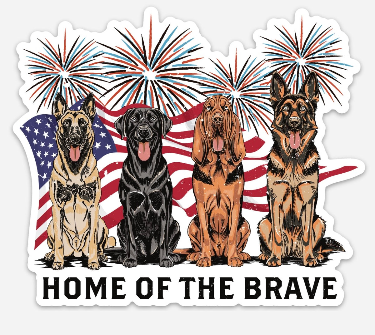 Home Of The Brave